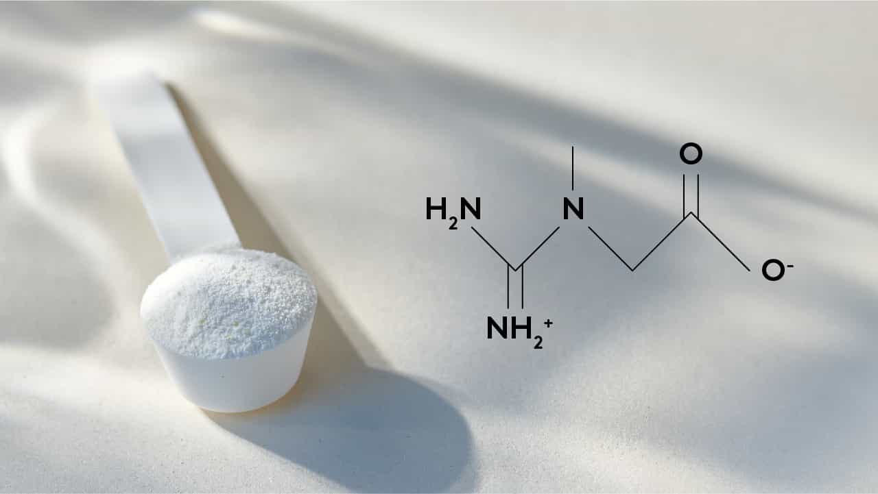 Demystifying Creatine: A Science-Backed Guide for Parents and Coaches of Young Athletes 3 Images 02 Creatine Defined